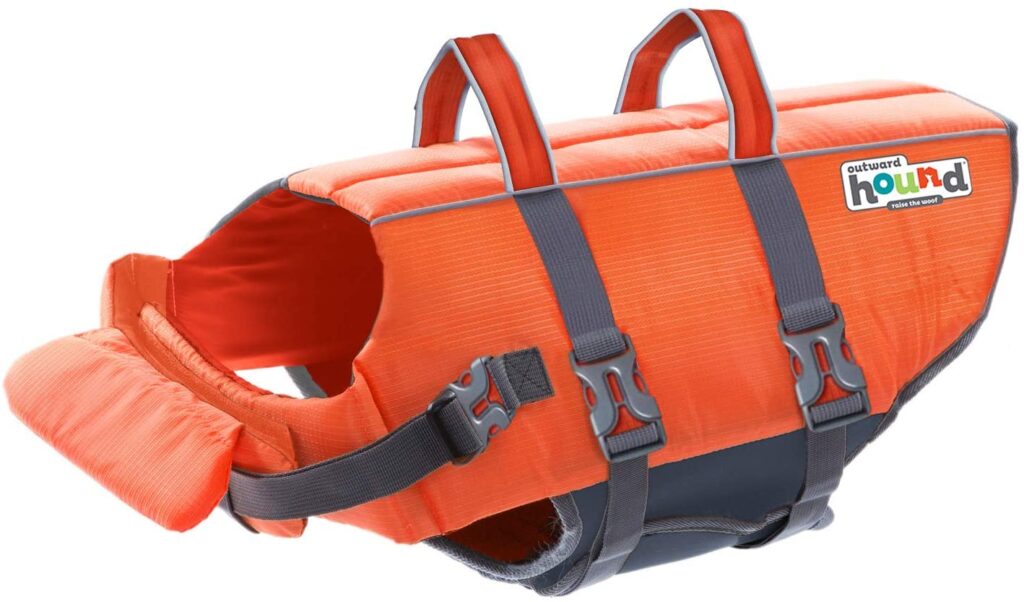 kayak accessories for dogs